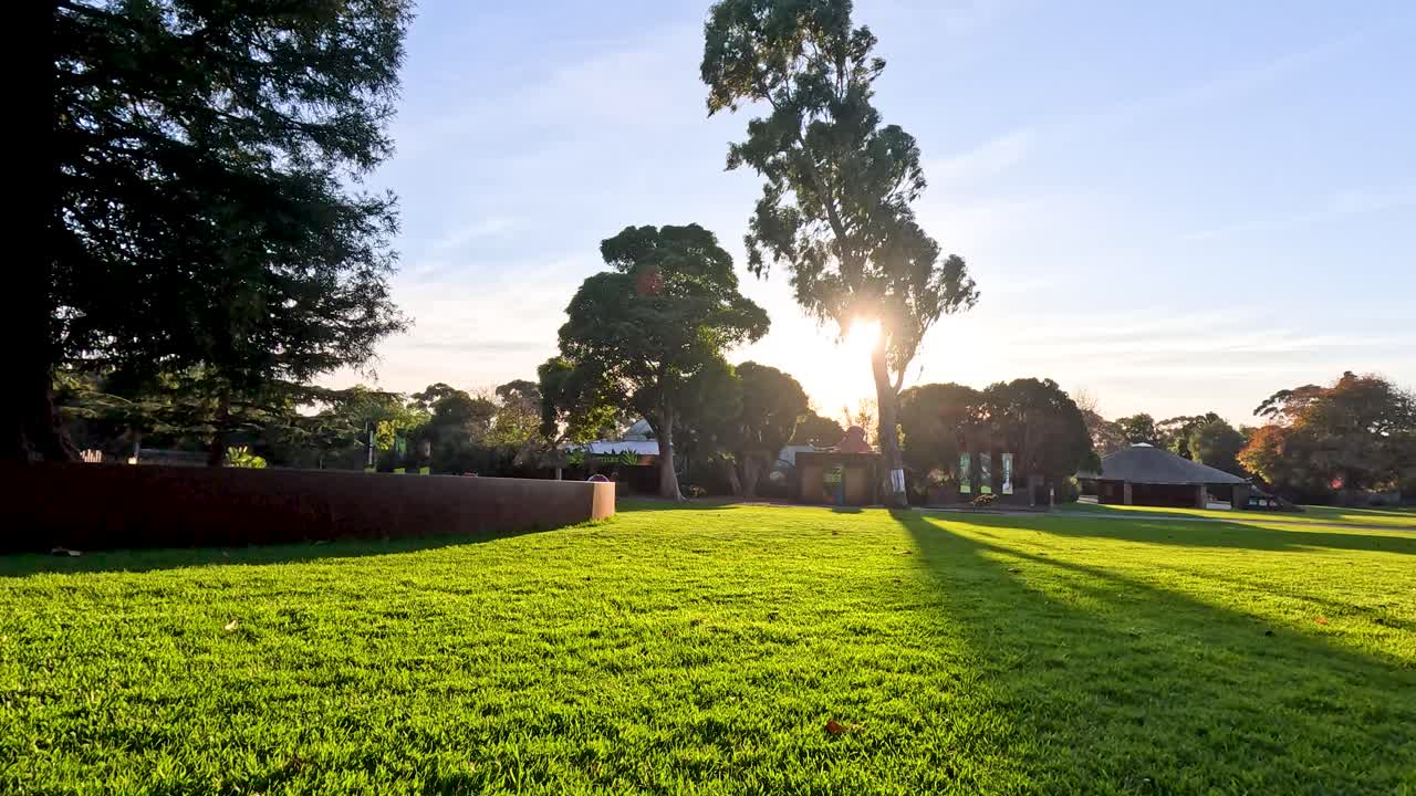 el atardecer proyecta sombras sobre un parque verde