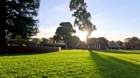 sunset casting shadows over a green park