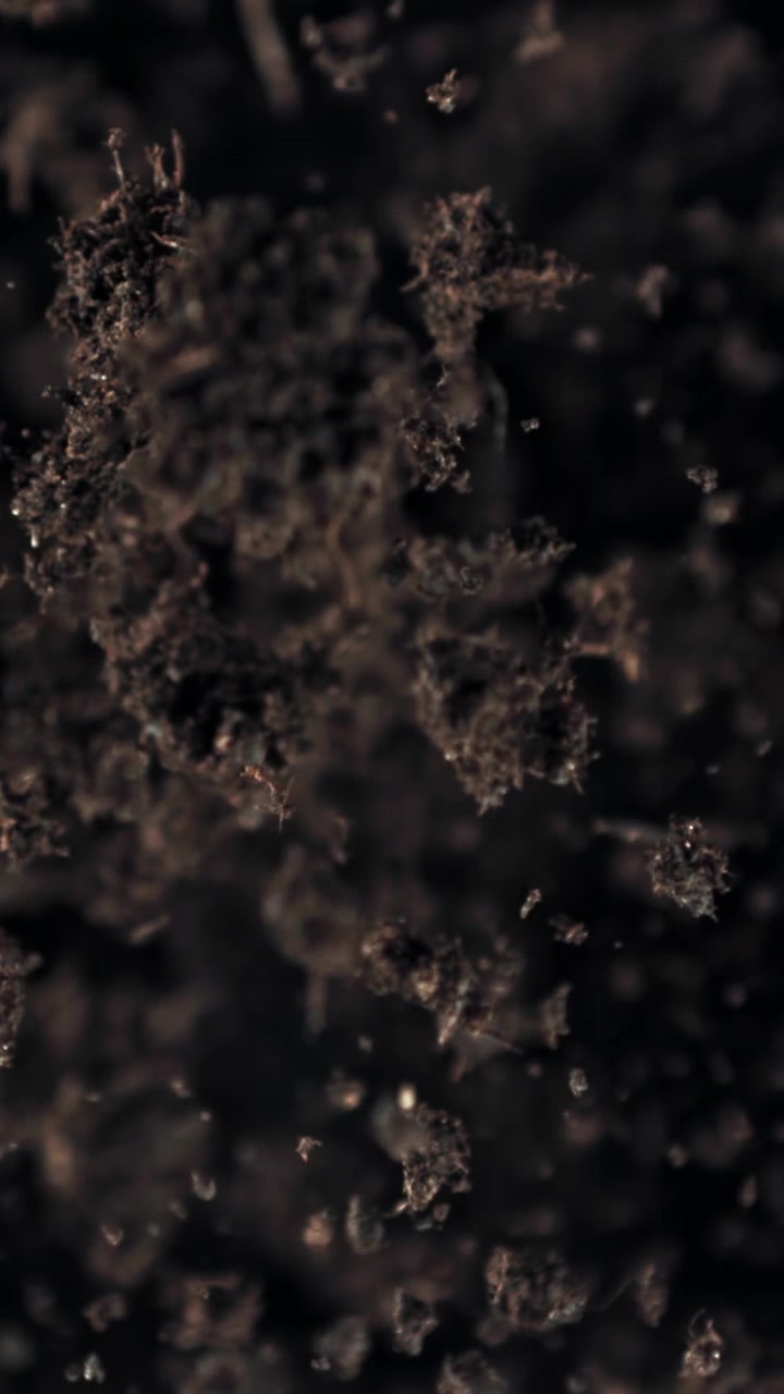 Primo piano macro di particelle scure che galleggiano in un liquido