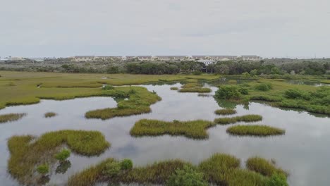 drone shot of a house in a swamp by matanzas river in florida