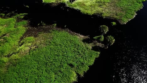 Marshland-along-the-Saint-John's-River-in-Cocoa,-Florida