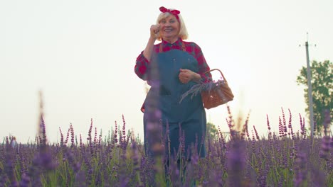 Feliz-Abuela-Granjera-En-El-Campo-Cultivando-Lavanda-Púrpura,-Levantando-Los-Puños-En-Gesto-Lo-Hice