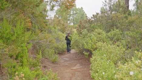 mujer atractiva de negro caminando por pahtway en el bosque de tenerife, vista de atrás