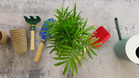 herramientas de jardinería y una planta en olla