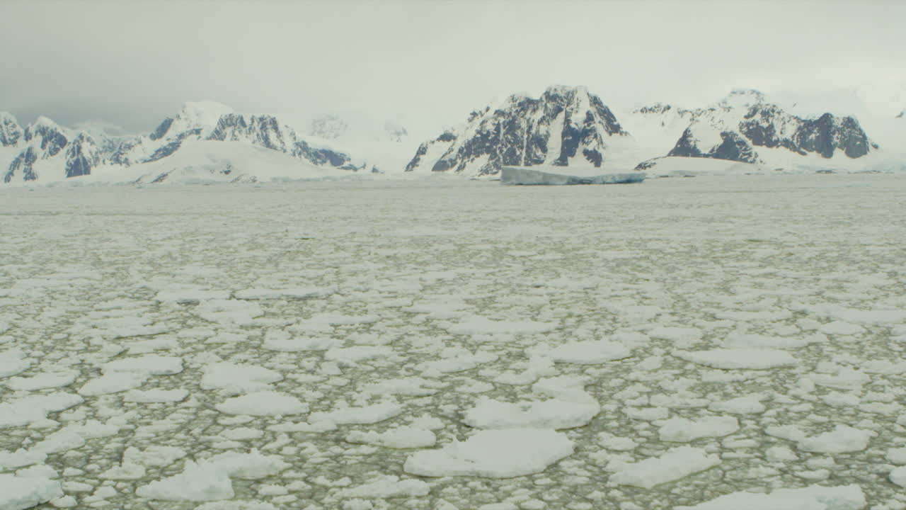 Iceberg and icefield