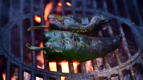 poblano peppers with grill marks on outdoor grill closeup showing flames and smoke with copy space