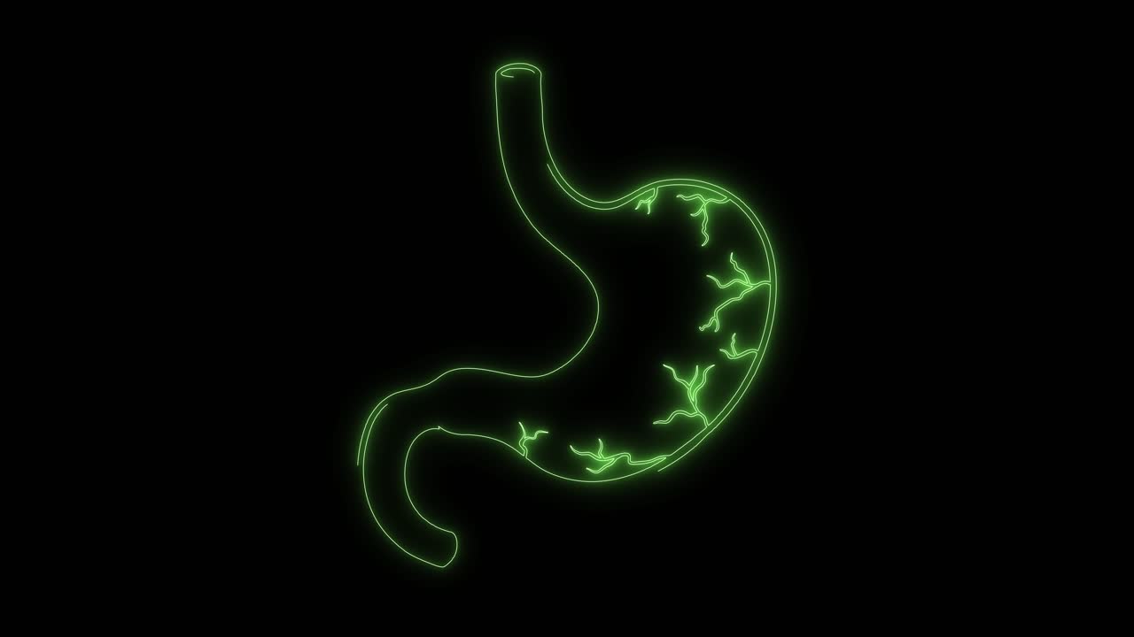Animated Neon Green Outline of Human Stomach with Internal Activity