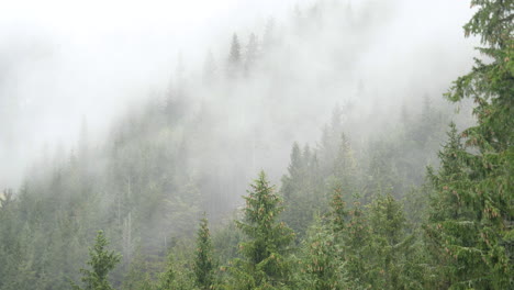 timelapse of the clouds created by the mountain forest - the natural process of water circulation
