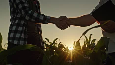 farmers handshake in cornfield at sunset