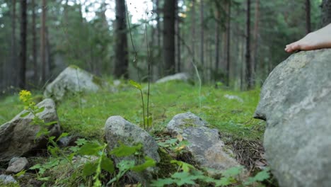 Mujer-Bohemia-De-Espíritu-Libre-Con-Falda-Verde-Corriendo-Caminando-En-El-Bosque