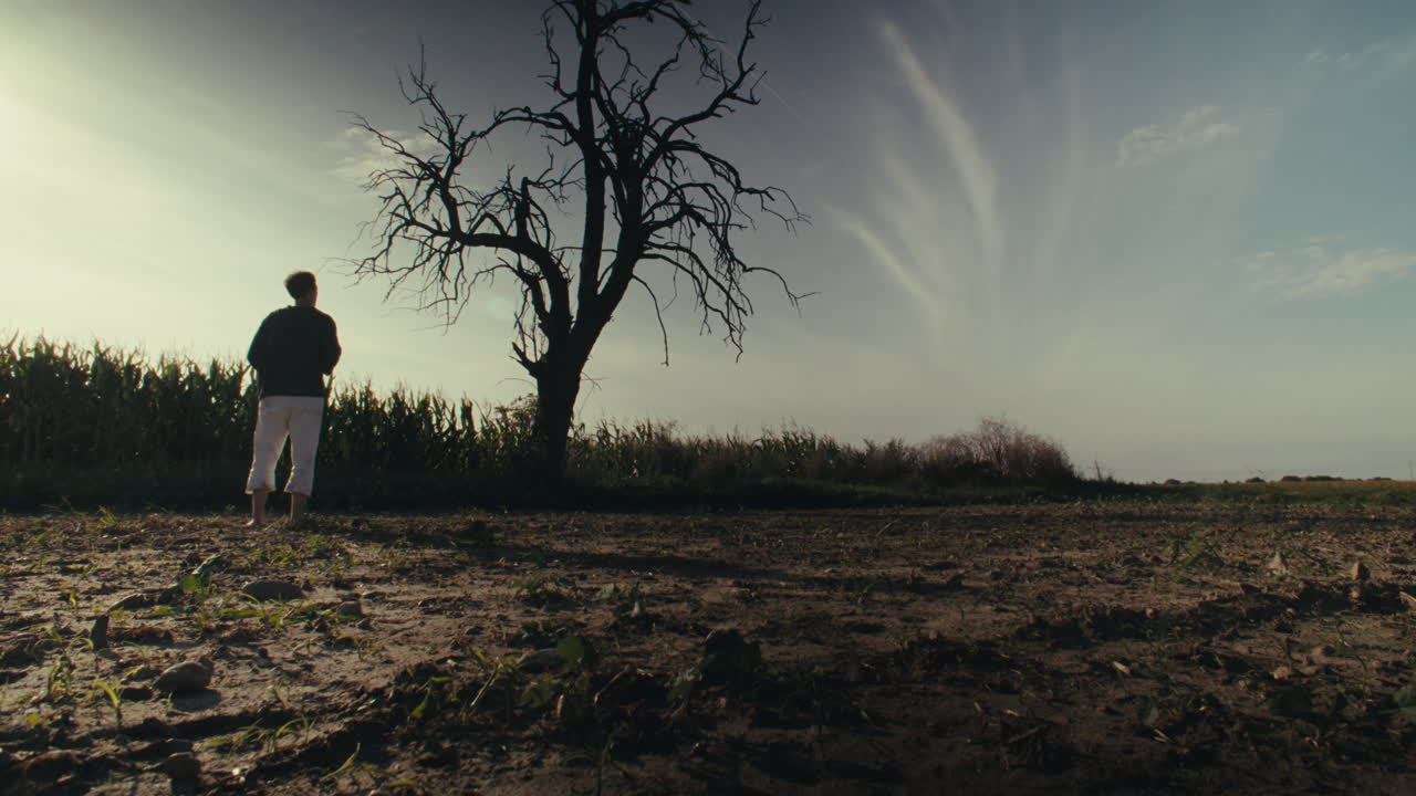 Person Walking Barefoot in a Dry Field Towards a Leafless Tree