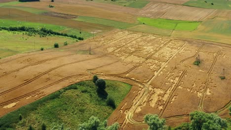 Drone-flight-over-the-fields-and-pastures