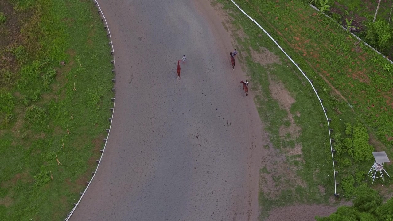 Prise de vue aérienne par drone de soigneurs accompagnant des chevaux sur un circuit de course pendant l'entraînement. Préparation de courses hippiques, gestion des animaux et séquences de site sportif. Tegalwaton, Indonésie.
