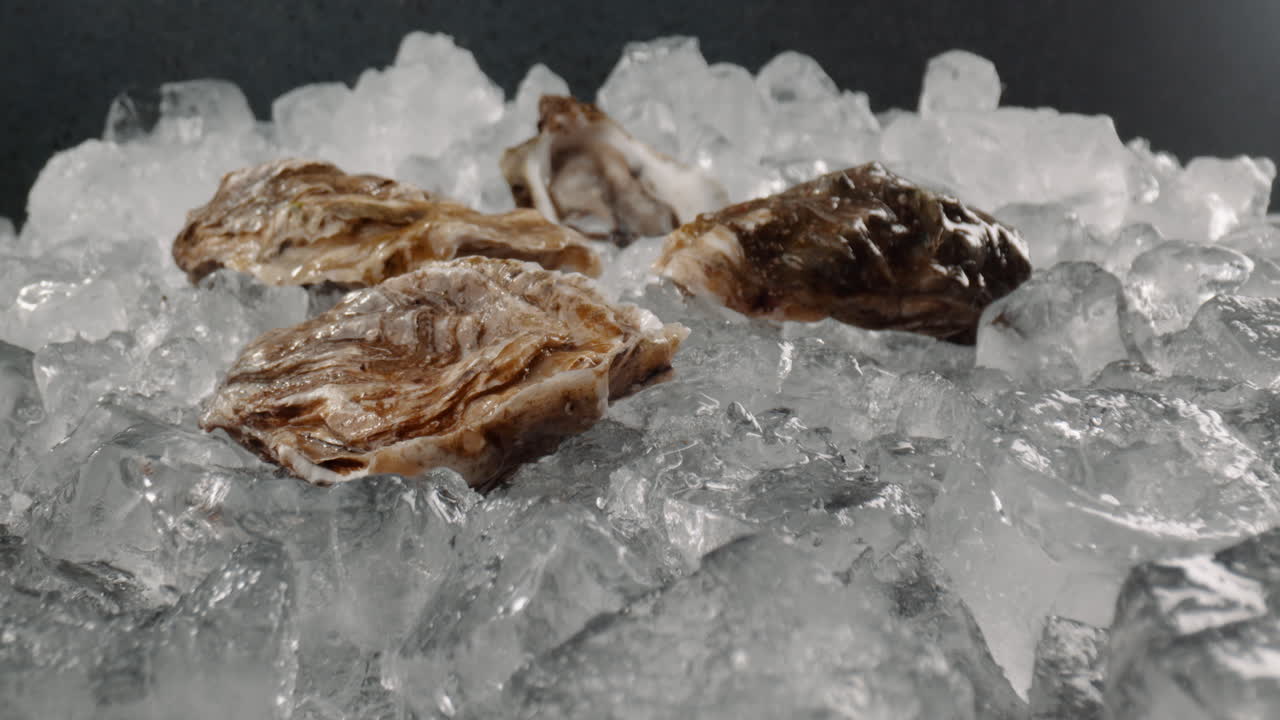 얼음 어리에 누워있는 오스트리 데기의 에서 극심한 매크로 돌리