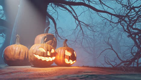 Gruseliger-Halloween-Wald-Mit-Nebel-Und-Geschnitzten-Kürbissen