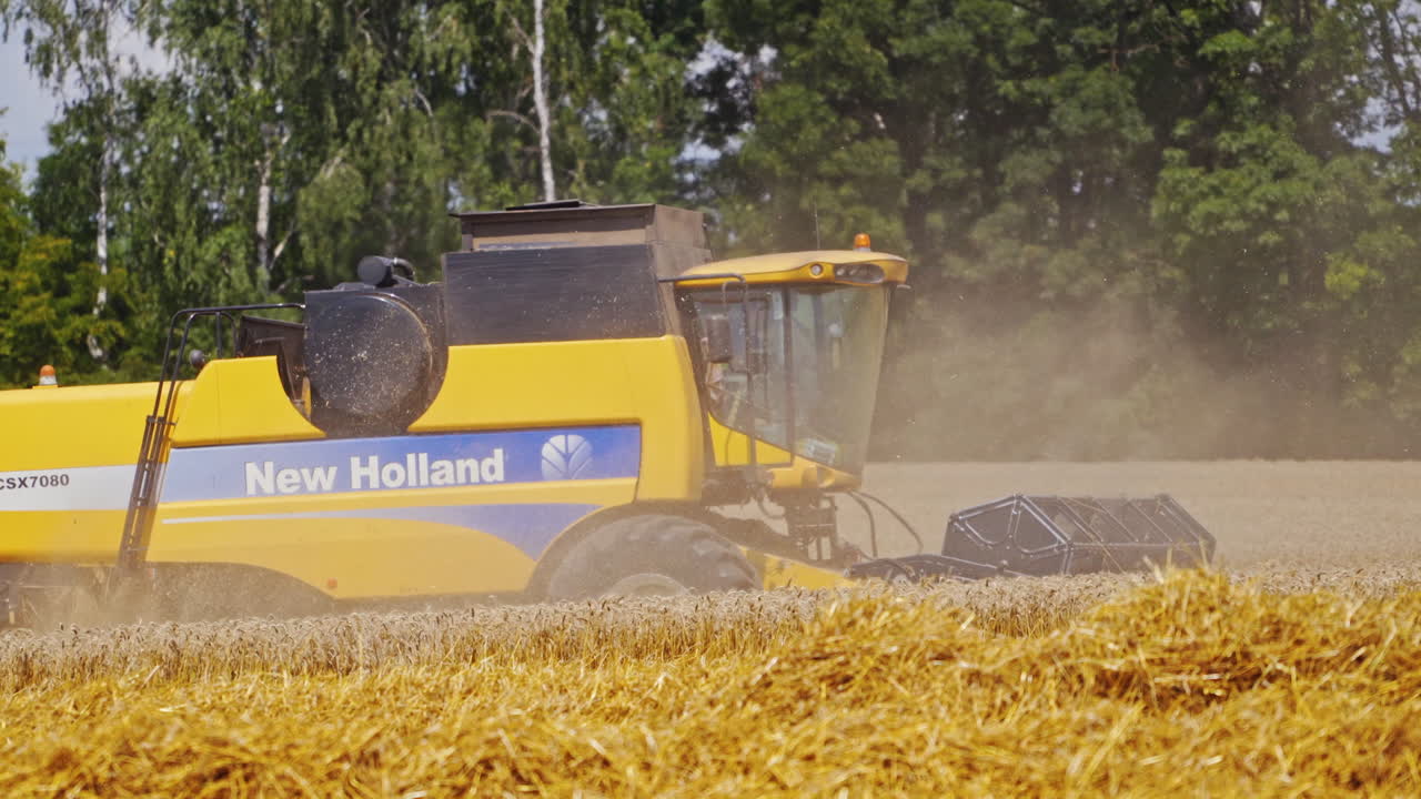 Combine harvester agriculture machine. Agriculture machine harvesting golden ripe wheat field