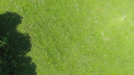 Aerial-drone-footage-looking-straight-down-at-a-field-lifting-straight-up-revealing-river-and-trees