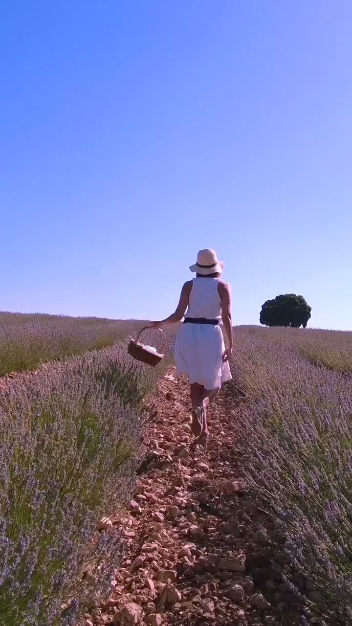 Woman in white dress walking through a lavender field