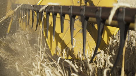 combine harvester mows rye in field, close up shot from machinery