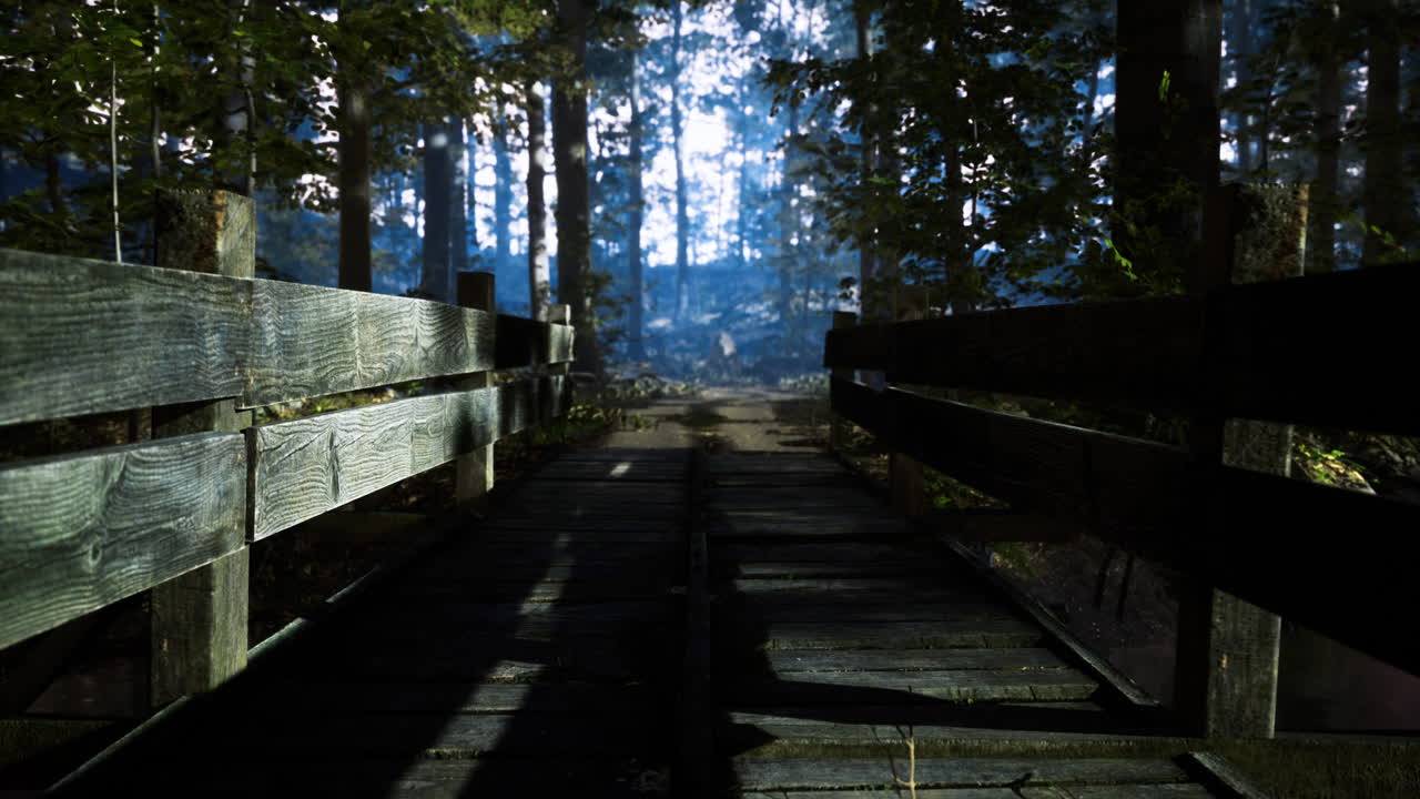 Wooden bridge leading into a misty forest at dawn