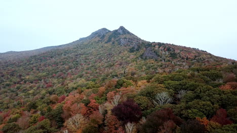 grandfather mountain nc aerial push in fall colors, leaf color, leaf change, grandfather mountain north carolina in 4k