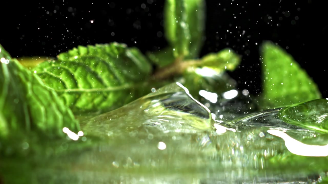 Foglie di menta fresca che schizzano nell'acqua su sfondo nero