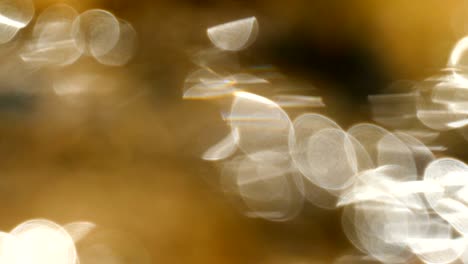 light blinks on little flowing creek