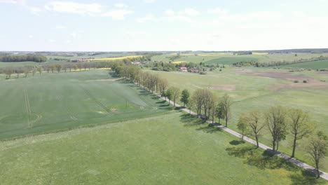 Transport-Von-Holzstämmen-Auf-LKW-Auf-Der-Malerischen-Landstraße-In-Polen