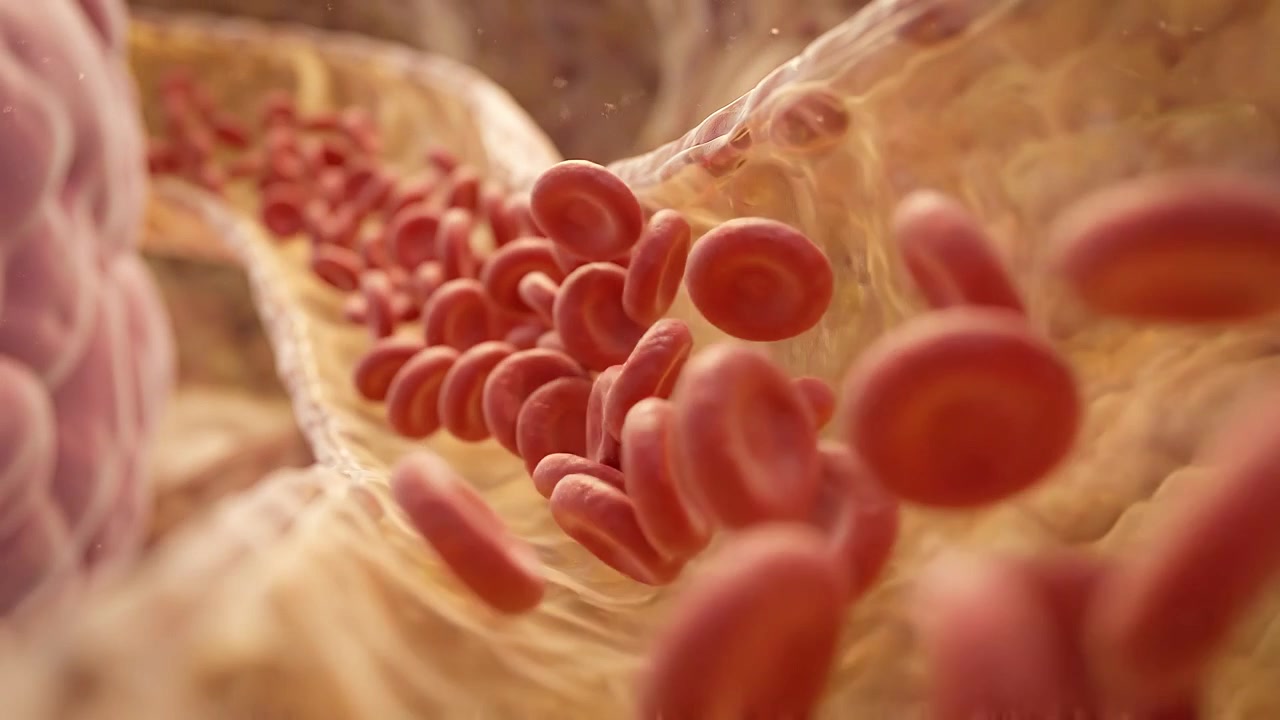 Red blood cells flowing through warm illuminated artery in medical animation