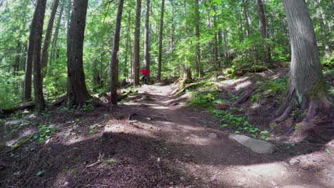 woman riding unicycle in the forest 4k