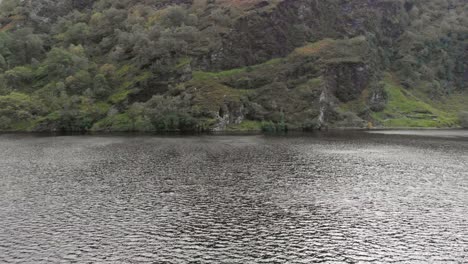 Flying-through-trees-with-a-view-on-a-lake-in-Ireland