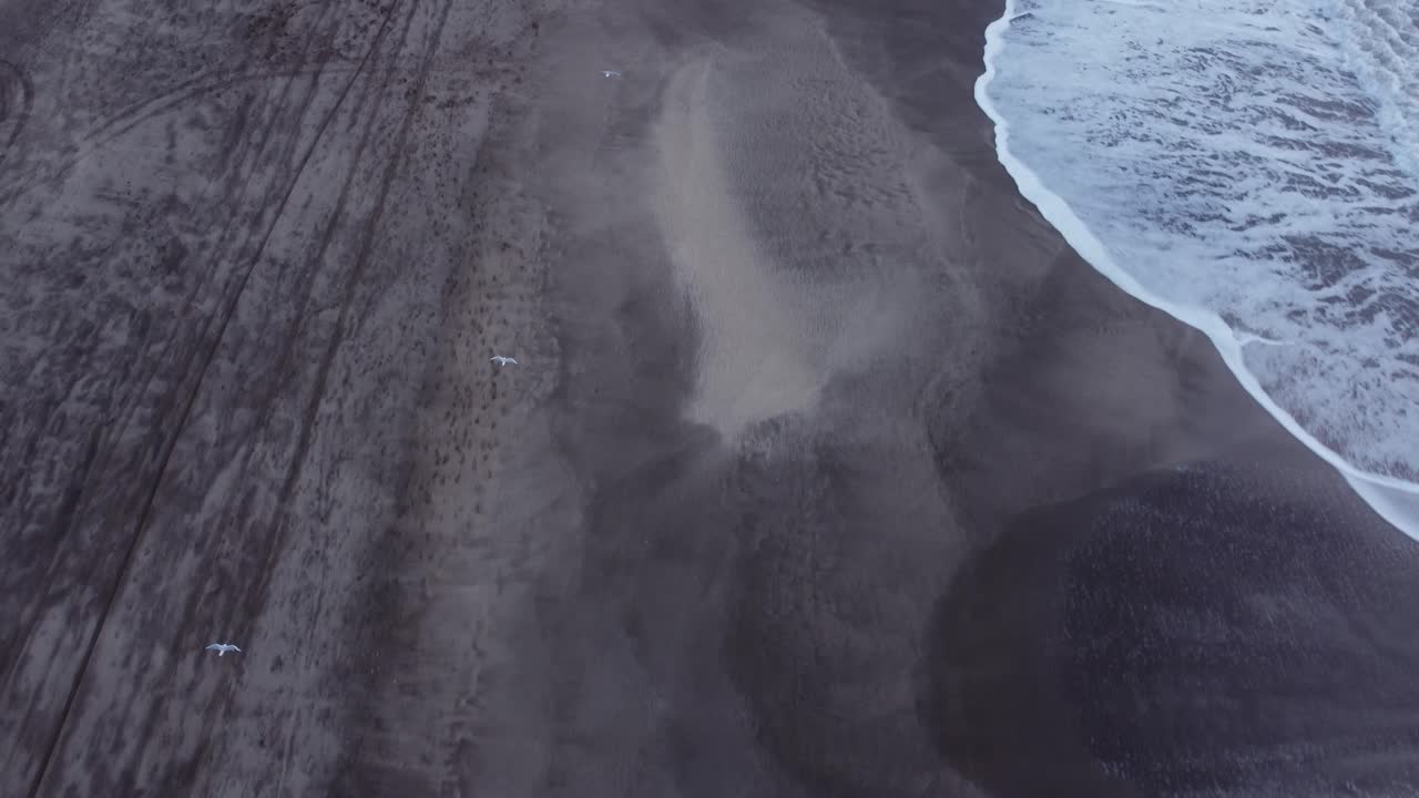 Aerial following shot of flying Seagulls birds over the beach of Mar de las Pampas in in South America