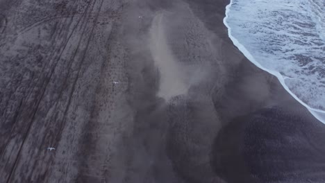 Aerial-following-shot-of-flying-Seagulls-birds-over-the-beach-of-Mar-de-las-Pampas-in-in-South-America