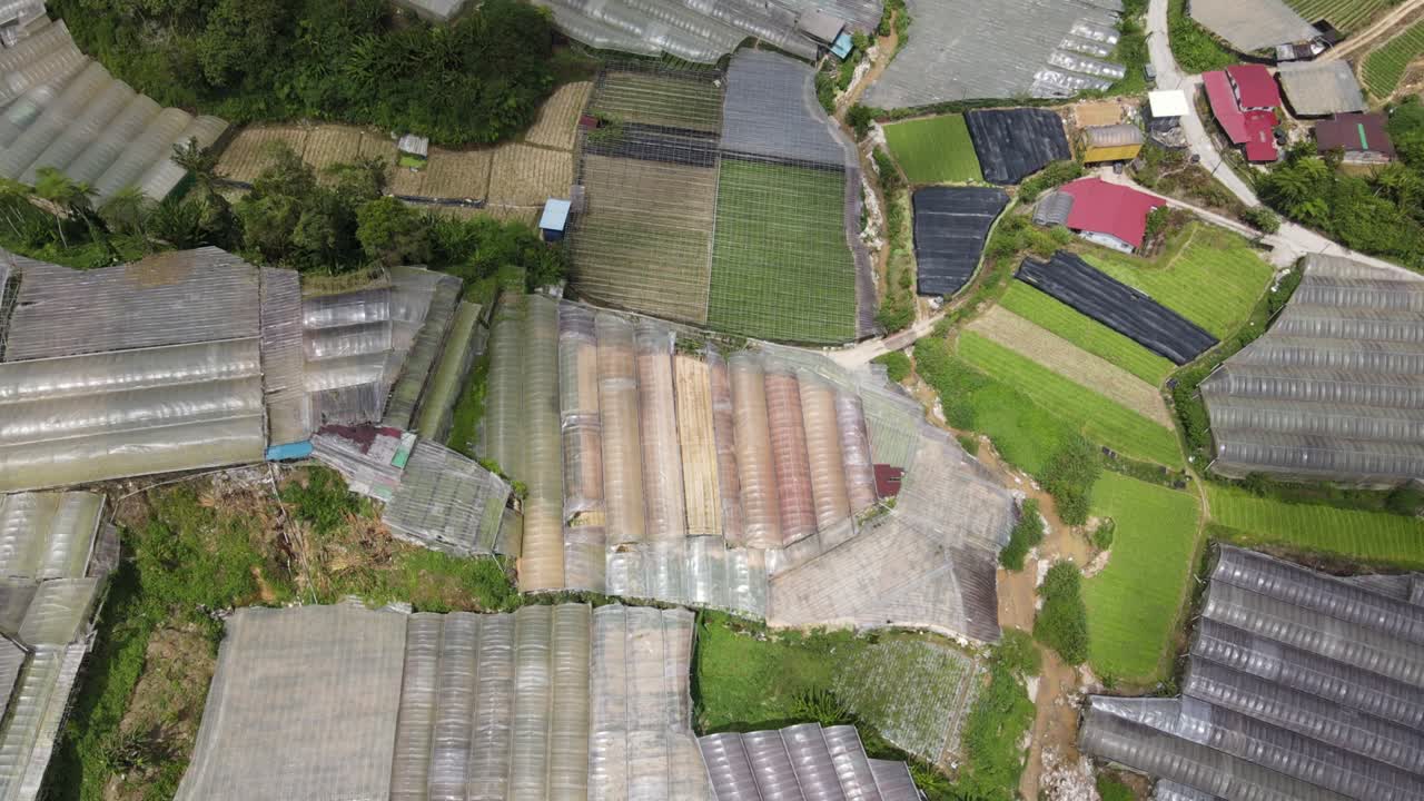 말레이시아의 카메론 하이랜드 지역 내의 브린창 지역의 일반 풍경