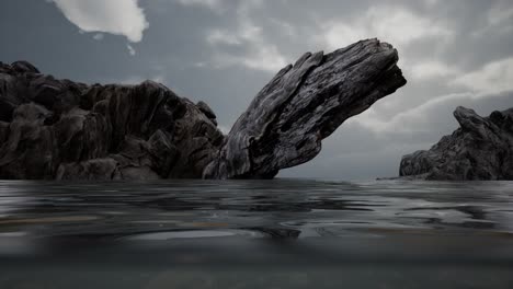 Half-underwater-in-northern-sea-with-rocks