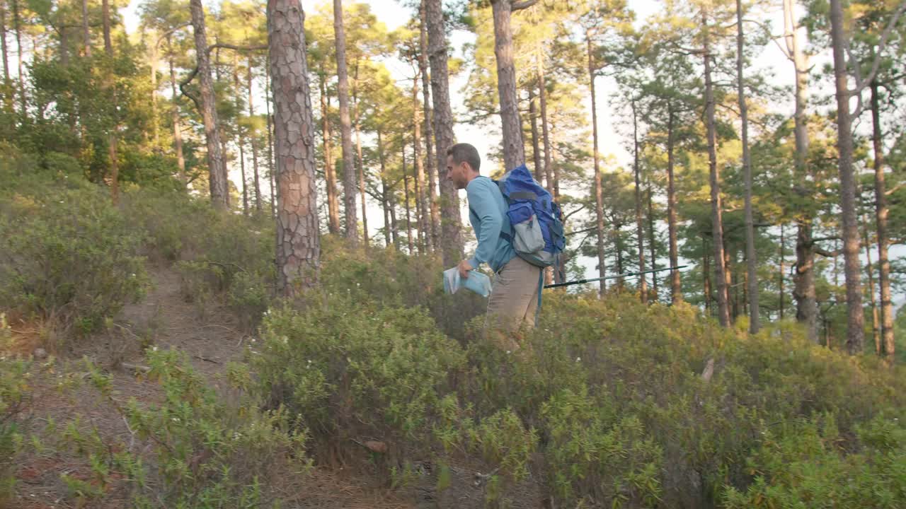 excursionista masculino caminando por el bosque