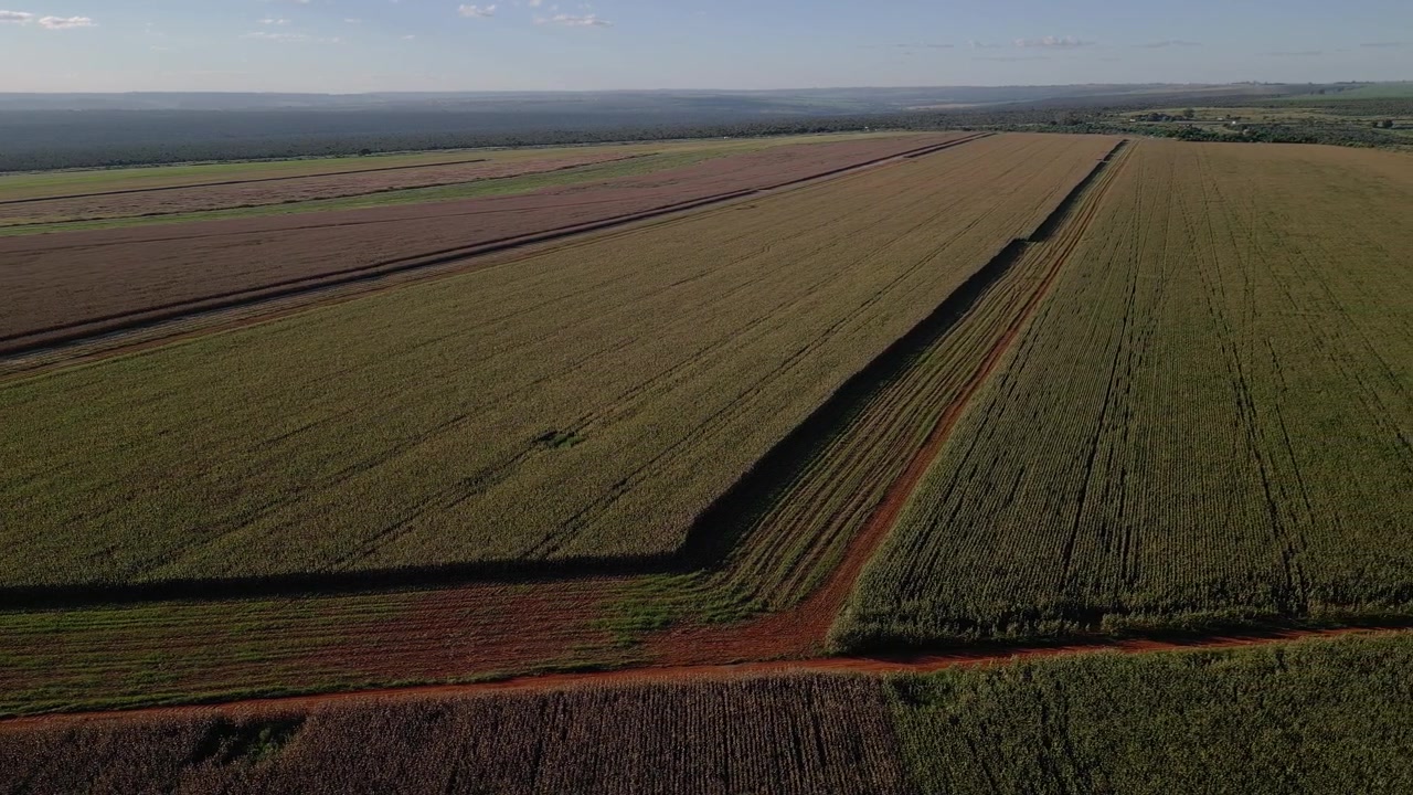 Industrial scale crop fields in Núcleo Rural Rio Preto, Planaltina, Distrito Federal, Brazil, showing mechanized agricultural plots on cerrado plateau terrain within the Brazilian Central Highlands