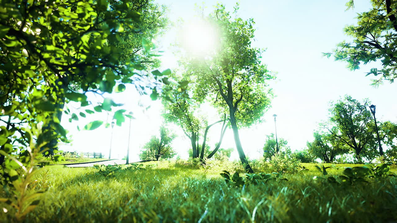 나무 와 신선 한 풀 이 있는 공원 에 있는 풍경 잔디