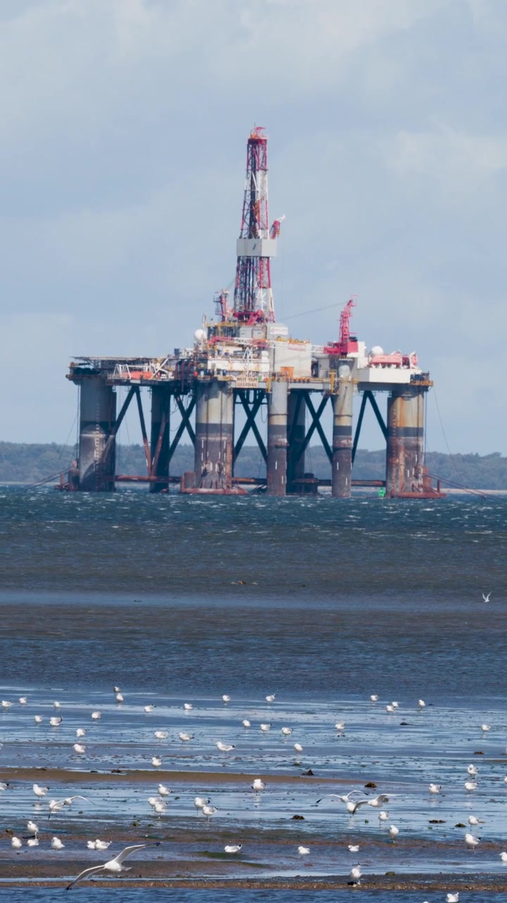 Statisk totalbillede af en olieboreplatform, vadehav og måger i dagslys i Cromarty, Skotland