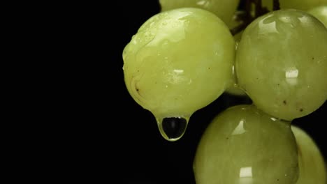 gota de agua que cae de la uva verde fresca en la vista de primer plano macro