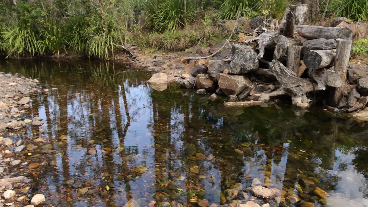다양한 기상 조건을 통해 연못의 진행