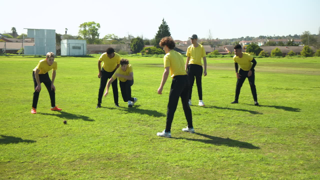 Team of multiracial male cricket players practicing cricket on pitch