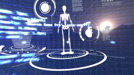Animation-Des-Menschlichen-Skeletts-über-Einem-Digitalen-Bildschirm-Mit-Wissenschaftlichen-Daten-Auf-Blauem-Hintergrund