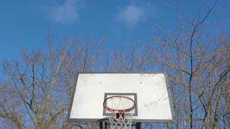 the look of the basketball ring in estonia