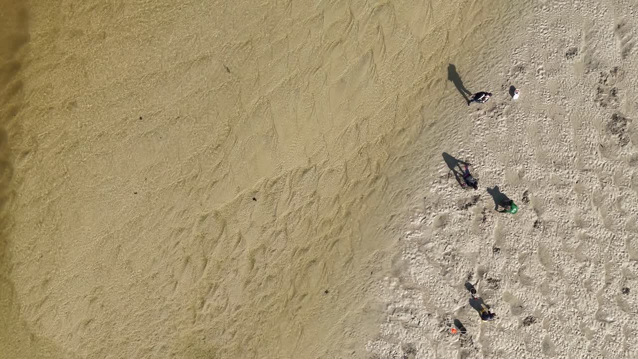 Ripresa aerea zenitale con drone sotto la luce solare diretta e intensa cattura famiglie che raccolgono molluschi (pesca a piedi) con la bassa marea sul fiume Minouet, Concarneau, Bretagna, Francia