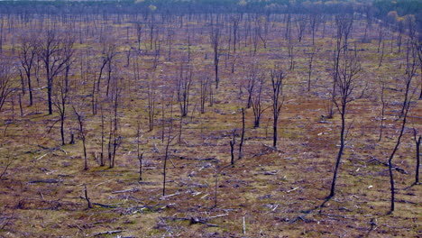 un avión no tripulado volando sobre los restos oscurecidos de un incendio forestal.