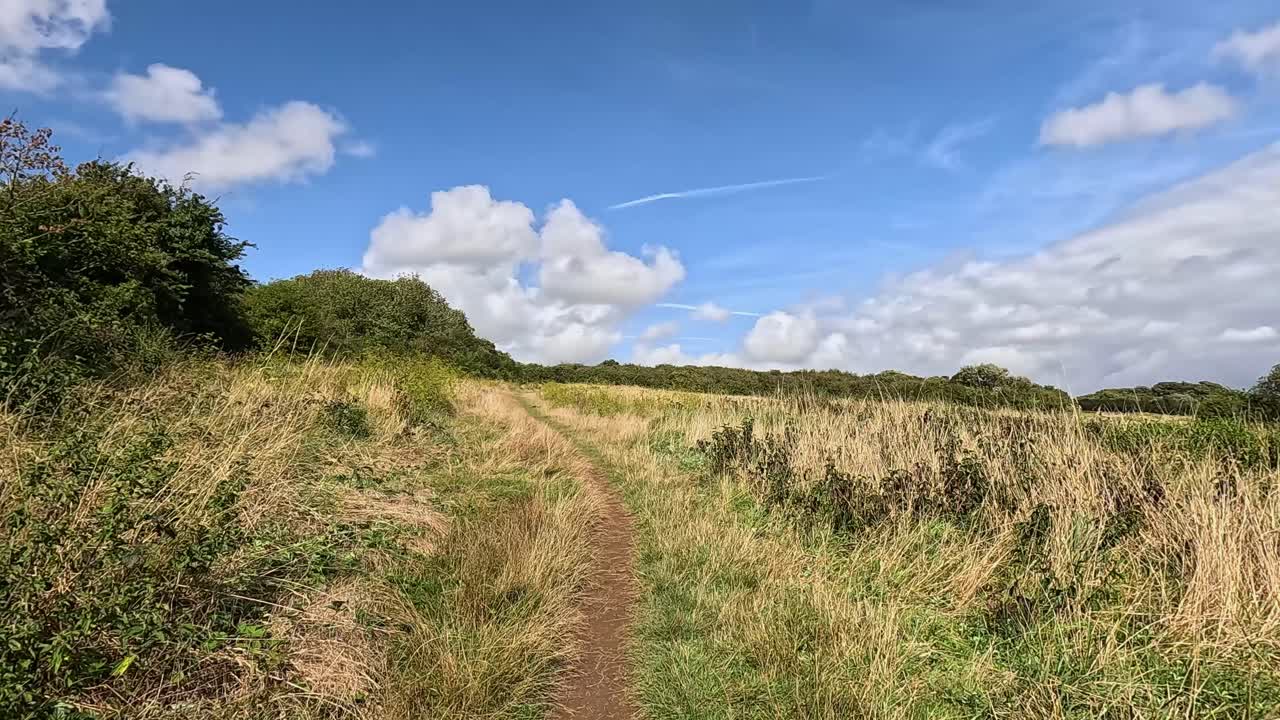 un camino tranquilo a través de un campo de hierba