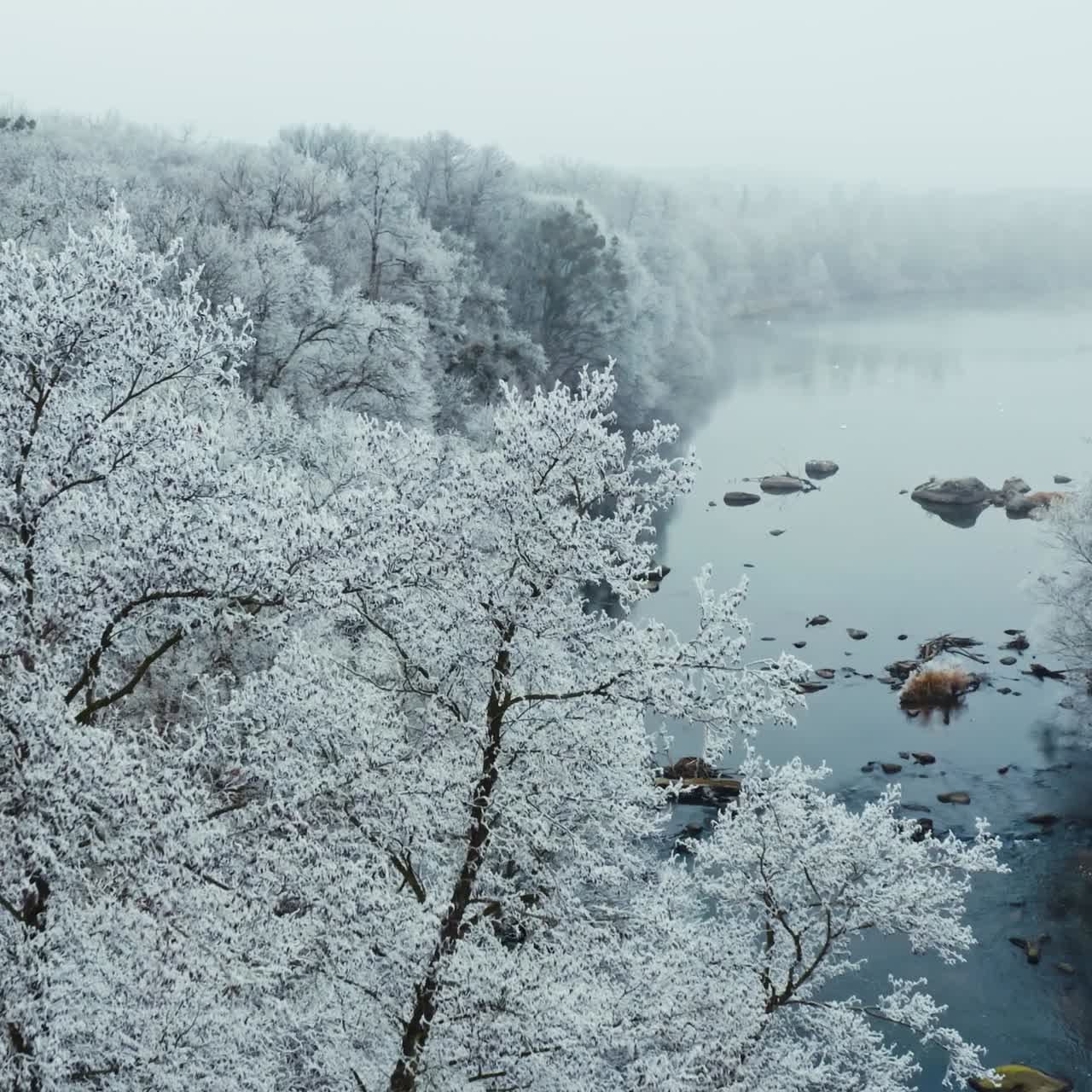 Beautiful nature in winter. Aerial view over the river flowing among snowy trees. Amazing landscape of white trees and shallow river.