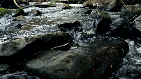 Flujo-De-Agua-Fresca-Y-Pura-En-Un-Pequeño-Río-Canadiense