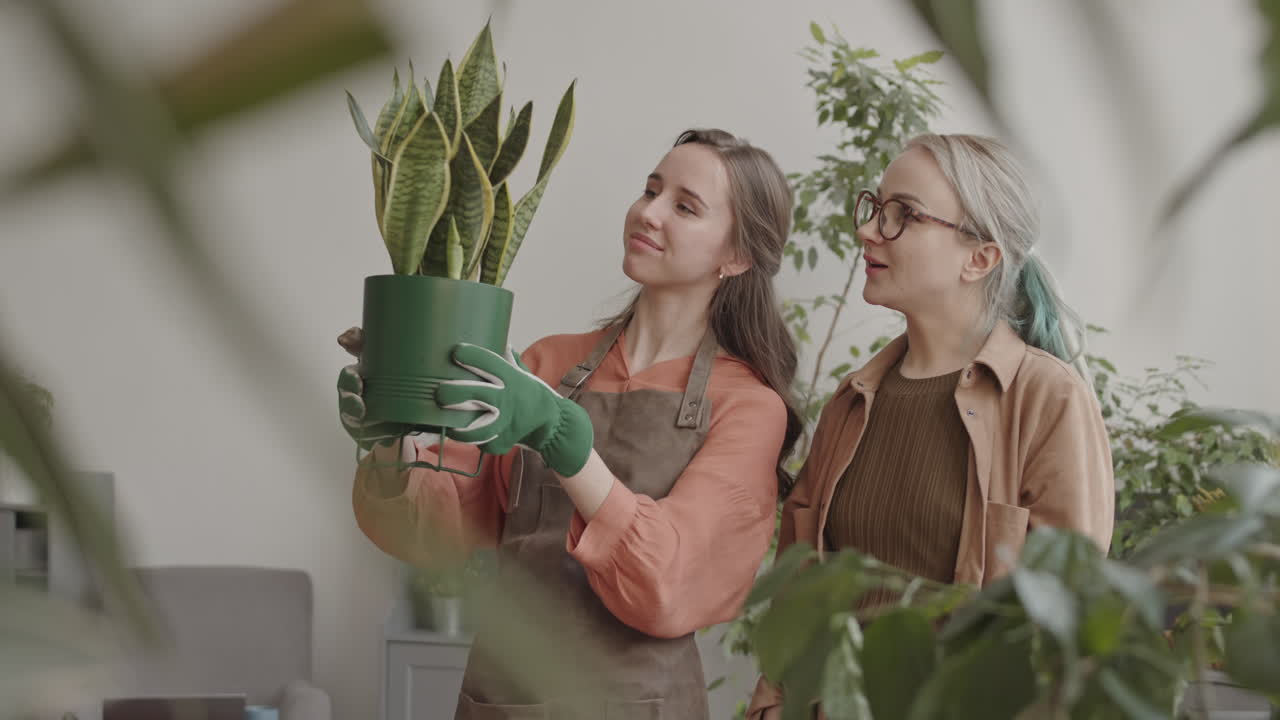 Women Looking at Plant in Pot